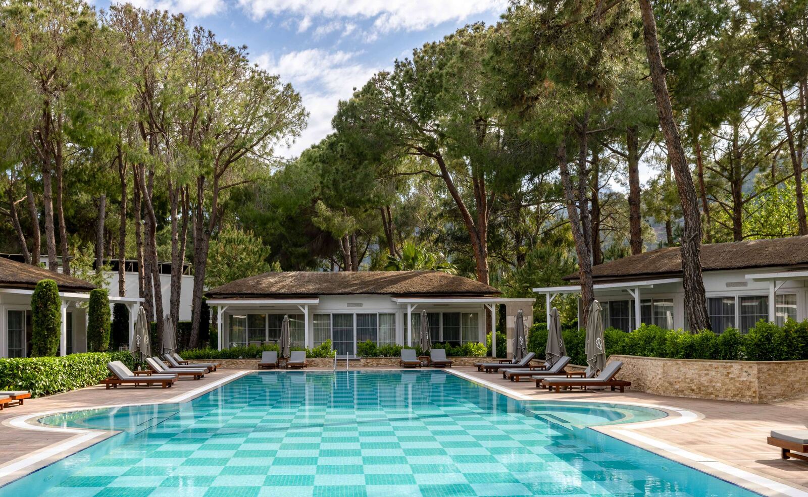 Villa Cedar - kızılçam ormanı içinde havuzlu villa